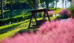 뉴스 | 경기도소식 | 새소식 | 부천소식 | 부천시청