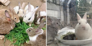 경기도뉴스 상세 | 경기도소식 | 새소식 | 부천소식 | 부천시청 경기도뉴스 | 경기도소식 | 새소식 | 부천소식 | 부천시청