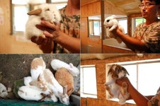 경기도뉴스 상세 | 경기도소식 | 새소식 | 부천소식 | 부천시청 경기도뉴스 | 경기도소식 | 새소식 | 부천소식 | 부천시청