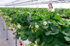 뉴스 상세 | 경기도소식 | 새소식 | 부천소식 | 부천시청 뉴스 | 경기도소식 | 새소식 | 부천소식 | 부천시청