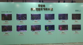 뉴스 상세 | 경기도소식 | 새소식 | 부천소식 | 부천시청 뉴스 | 경기도소식 | 새소식 | 부천소식 | 부천시청