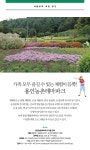 뉴스 | 경기도소식 | 새소식 | 부천소식 | 부천시청