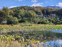 뉴스포털 뉴스포털 | 양주시청