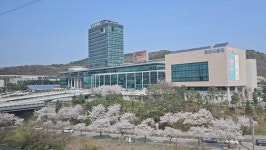 [포토뉴스] 벚꽃이 수놓은 용인시청 둘레길 : 기회기자단 : 경기도뉴스포털 [포토뉴스] 벚꽃이 수놓은 용인시청 둘레길 