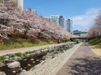 뉴스 | 경기도소식 | 새소식 | 부천소식 | 부천시청