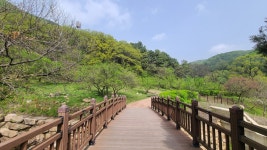 [경기도가 품은 공원] ① 수리산도립공원 : 문화 : 경기도뉴스포털 [경기도가 품은 공원] ① 수리산도립공원