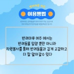 반려동물이 이야기하는 공간 반려마루의 모든 것 : 청소년기자단 : 경기도뉴스포털 반려동물이 이야기하는 공간 반려마루의 모든 것