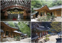 뉴스 | 경기도소식 | 새소식 | 부천소식 | 부천시청