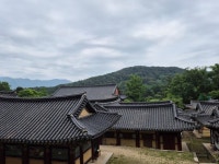 [광릉숲 유네스코 생물권보전지역 둘레길 7코스 ②] 몸과 마음을 치유하는 힐링 공간, 봉선사 편 : 꿈나무기자단 : 경기도뉴스포털 [광릉숲... 