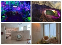 뉴스 | 경기도소식 | 새소식 | 부천소식 | 부천시청