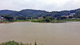 뉴스 | 경기도소식 | 새소식 | 부천소식 | 부천시청