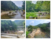뉴스 | 경기도소식 | 새소식 | 부천소식 | 부천시청