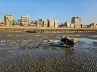 경기바다의 매력 품은 ‘오이도 어촌체험휴양마을’ : 일반기자단 : 경기도뉴스포털 경기바다의 매력 품은 ‘오이도 어촌체험휴양마을’