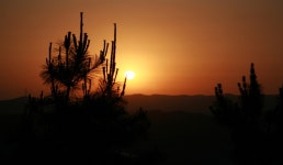 뉴스 상세 | 경기도소식 | 새소식 | 부천소식 | 부천시청 뉴스 | 경기도소식 | 새소식 | 부천소식 | 부천시청