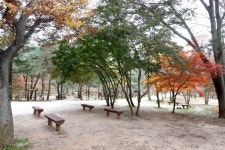 [조선왕릉 숲길 따라] ① 파주 삼릉 ‘능침 북쪽 숲길’, ‘작은 연못... [조선왕릉 숲길 따라] ① 파주 삼릉 ‘능침 북쪽 숲길’, ‘작은 연못 숲길’