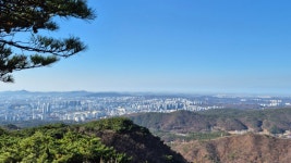 [경기도 명품숲] ② 수원시 광교산 솔향기숲 : 문화 : 경기도뉴스포털 [경기도 명품숲] ② 수원시 광교산 솔향기숲
