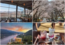 ‘벚꽃뷰 맛집’ 카페 명소를 소개합니다! : 문화 : 경기도뉴스포털 ‘벚꽃뷰 맛집’ 카페 명소를 소개합니다!