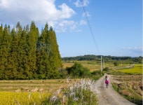 경기도뉴스 상세 | 경기도소식 | 새소식 | 부천소식 | 부천시청 경기도뉴스 | 경기도소식 | 새소식 | 부천소식 | 부천시청