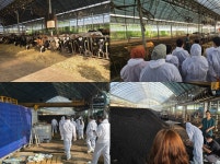 지속 가능한 친환경 축산을 위해… “돈워리 내가있잖소 알려준닭!” : 일반기자단 : 경기도뉴스포털 지속 가능한 친환경 축산을 위해… “돈워리... 