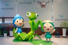 경기도 멀티미디어 - 양평 곤충박물관 [교육] 양평 곤충박물관