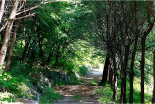 경기도 멀티미디어 - 여주 "산속애" [여가활동] 여주 "산속애"