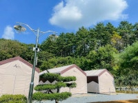 벨루아야영장 - 캠프위크