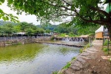 한밤 솔담길 오토캠핑장 - 캠프위크