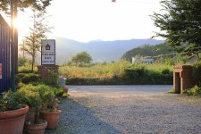 울미숲야영장 - 캠프위크