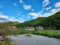 초리 포레스트 - 캠프위크