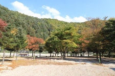 [캠핑장] 매일민박캠핑장 ( 강원도 철원군 근남면 )