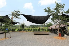 농업회사법인주식회사 태신목장예산지점 - 캠프위크