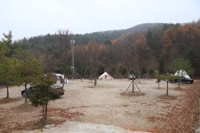 [캠핑장] 산울림관광농원 ( 경기도 양평군 양동면 )