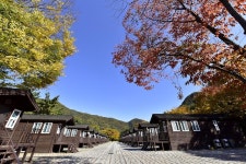 와이캠핑장 - 캠프위크