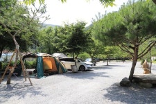 수희재캠프 - 캠프위크