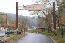 [캠핑장] 숲속동키마을 캠핑장 ( 강원도 홍천군 홍천읍 )