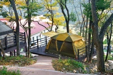 황산문화체육공원 국민여가캠핑장 - 캠프위크