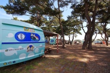 [캠핑장] 오류캠핑장 ( 경상북도 경주시 감포읍 )