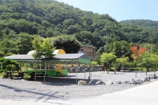 [캠핑장] 올리브 그린 펜션 글램핑 ( 강원도 영월군 수주면 )