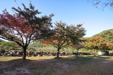 [캠핑장] 위정캠핑장 ( 경상북도 영덕군 창수면 )