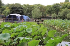 [캠핑장] 귀한농부학교 캠핑장 ( 경기도 파주시 법원읍 )