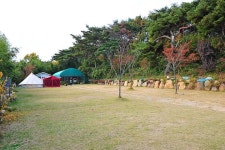 주전몽돌해변 - 캠프위크