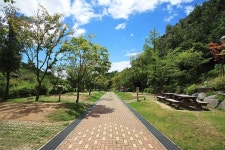 [캠핑장] 도학 오토캠핑장 ( 대구광역시 동구 도학동 )