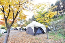 한국관광공사 고캠핑 고캠핑