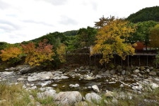 금다래캠핑장 - 캠프위크