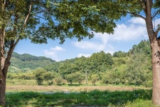 숲속의하모니 - 캠프위크