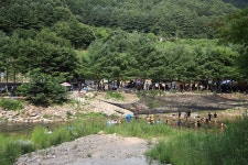 다솜이 야영장 - 캠프위크