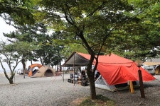 [캠핑장] 대부도나라캠핑장 ( 경기도 안산시 단원구 )