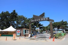 [캠핑장] 몽산포오토캠핑장 ( 충청남도 태안군 남면 )