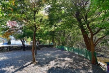 자우림캠핑장 - 캠프위크