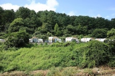 세라핌캠프 - 캠프위크